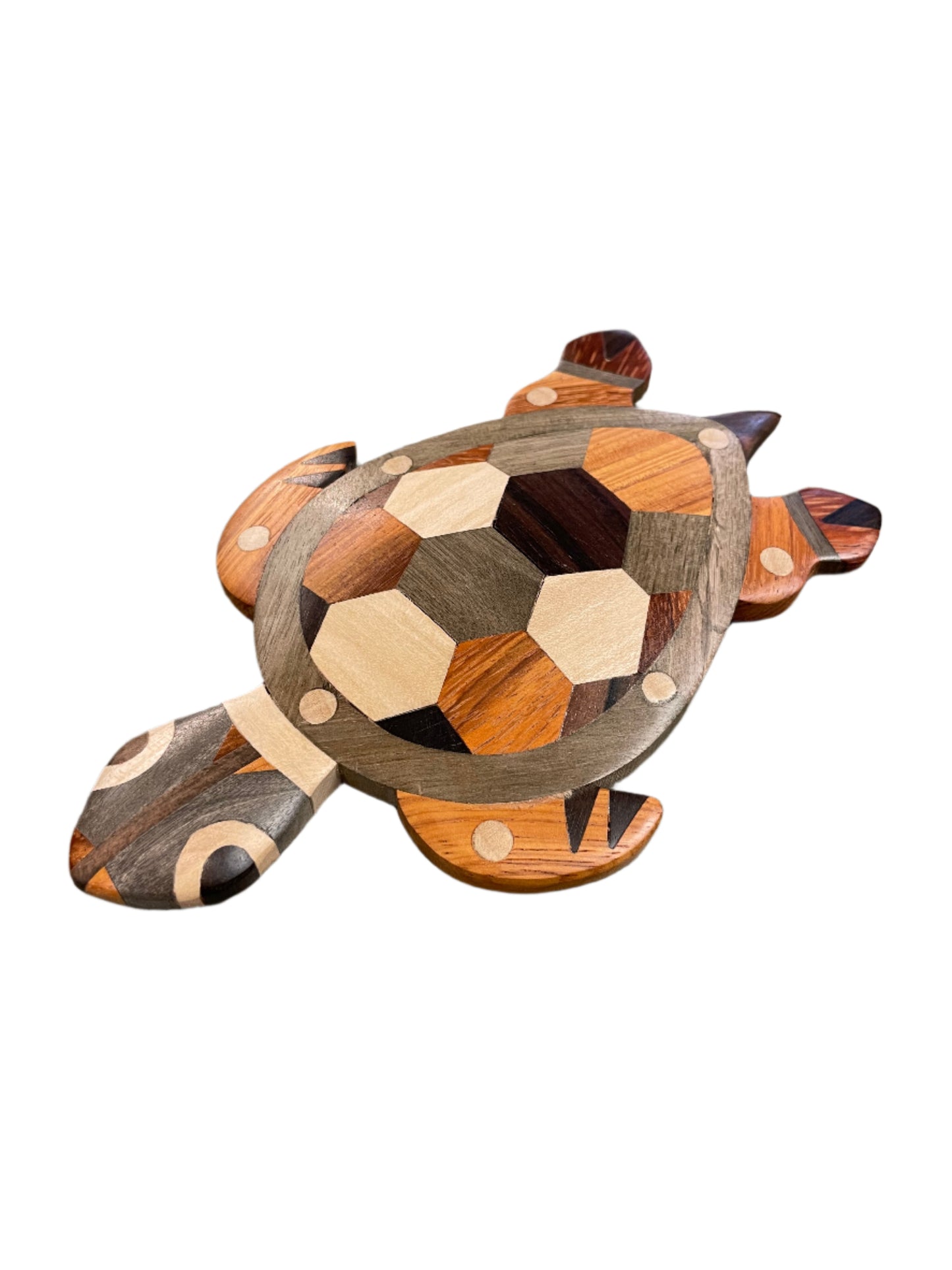 Northwoods - Wood Turtle