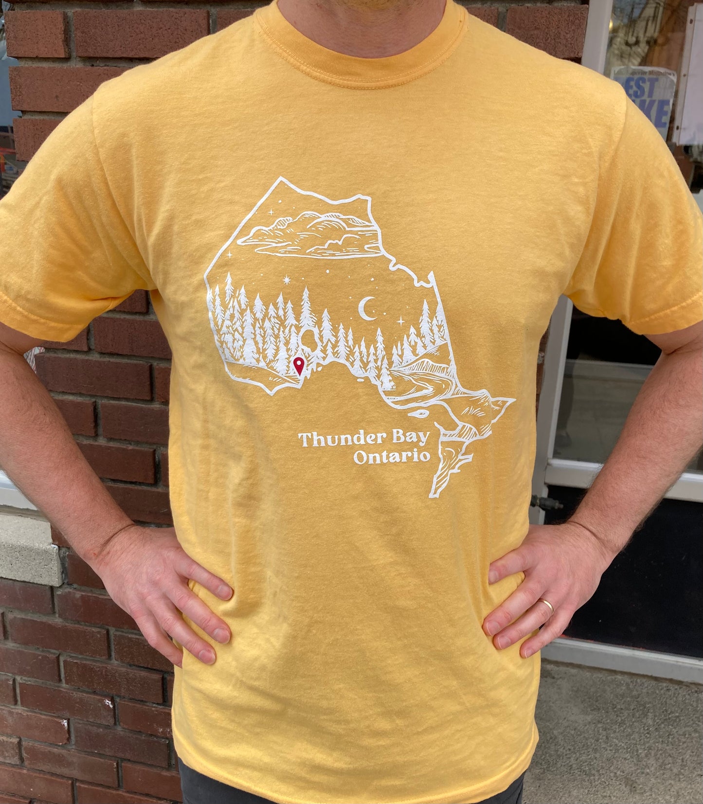 Souvenir Clothing - T-Shirt - Thunder Bay, Ontario - Landscape Map - Citrus