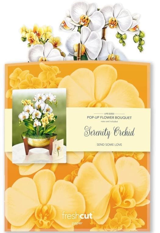 Pop-Up Flower Bouquet - Serenity Orchid