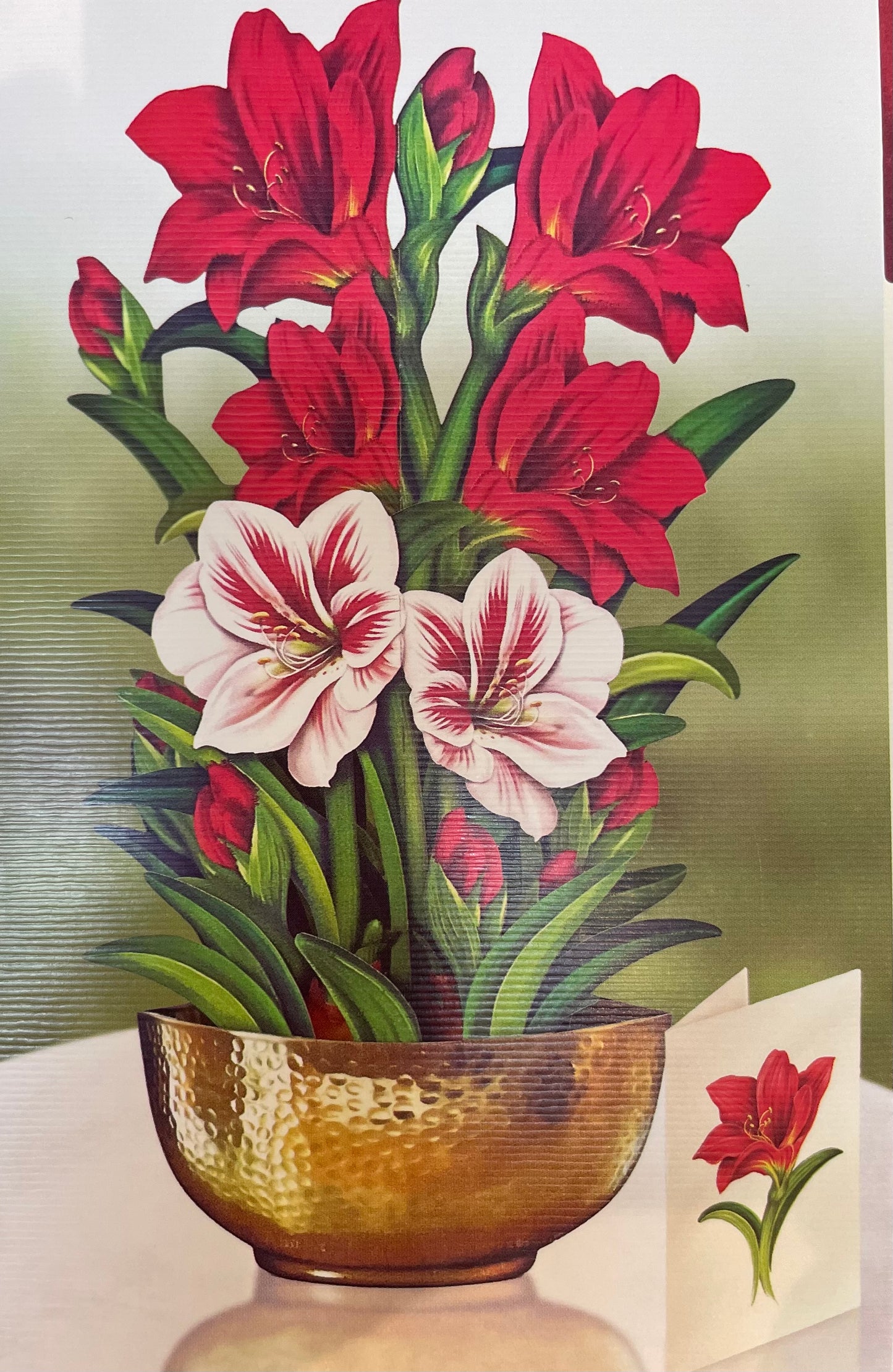 Pop-Up Flower Bouquet - Scarlet Amaryllis