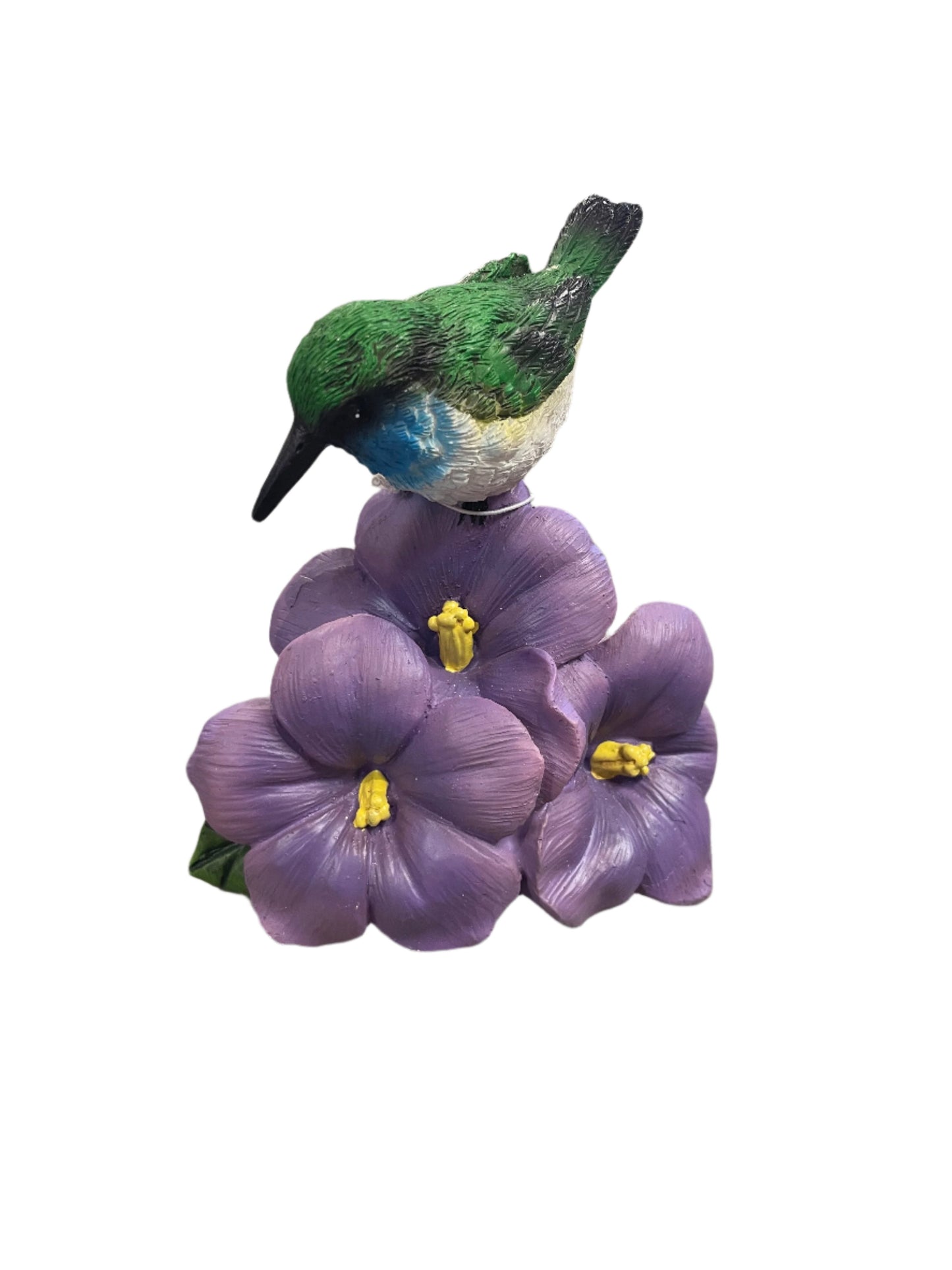 Garden - Flower of the Month - February