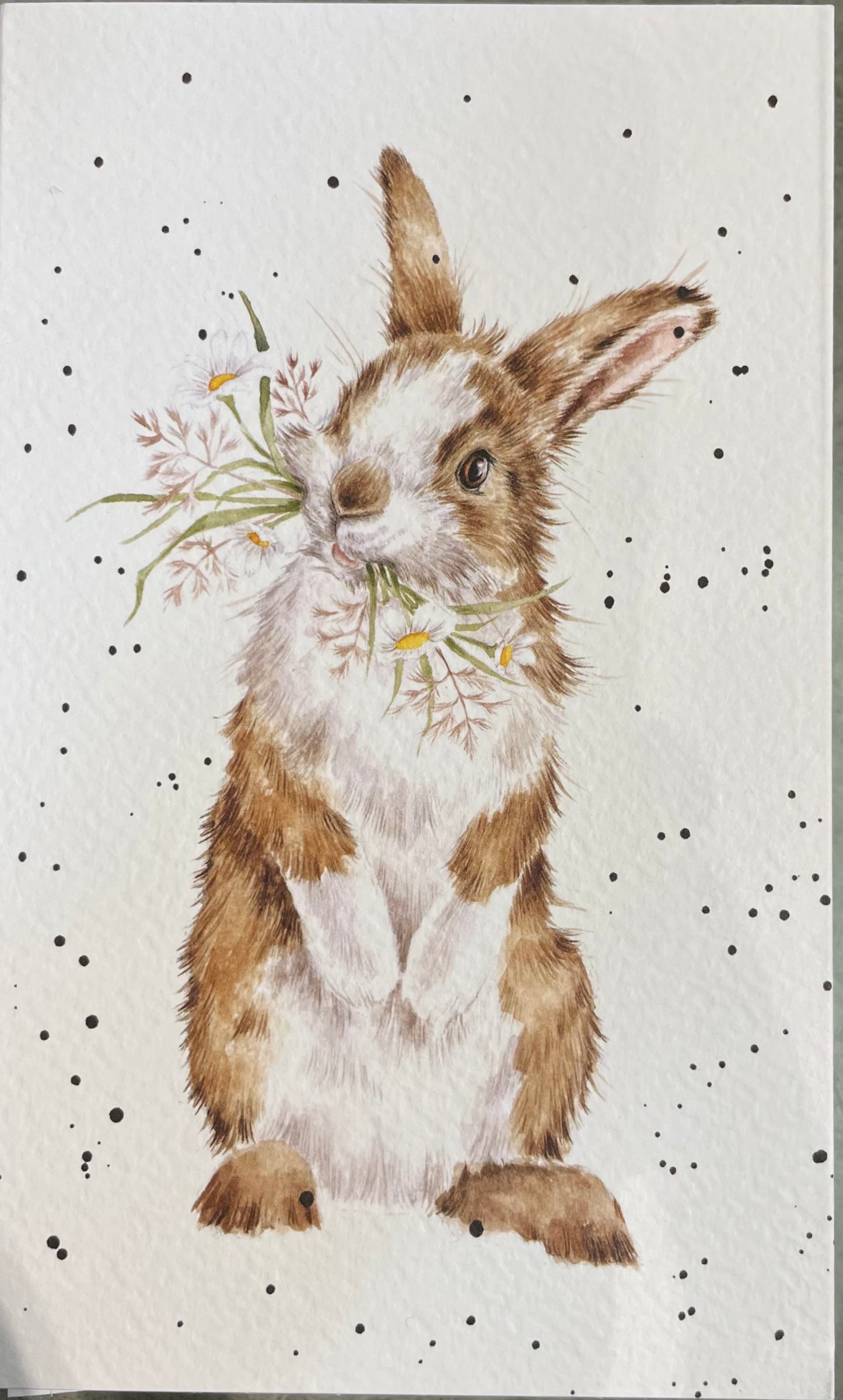Wrendale Designs - Notepad with Cover - Hare with Daisys