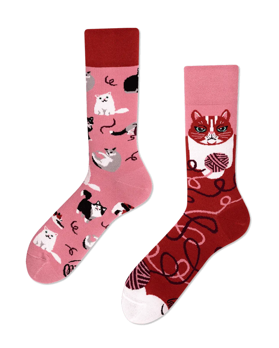 Many Mornings Socks - Playful Cat