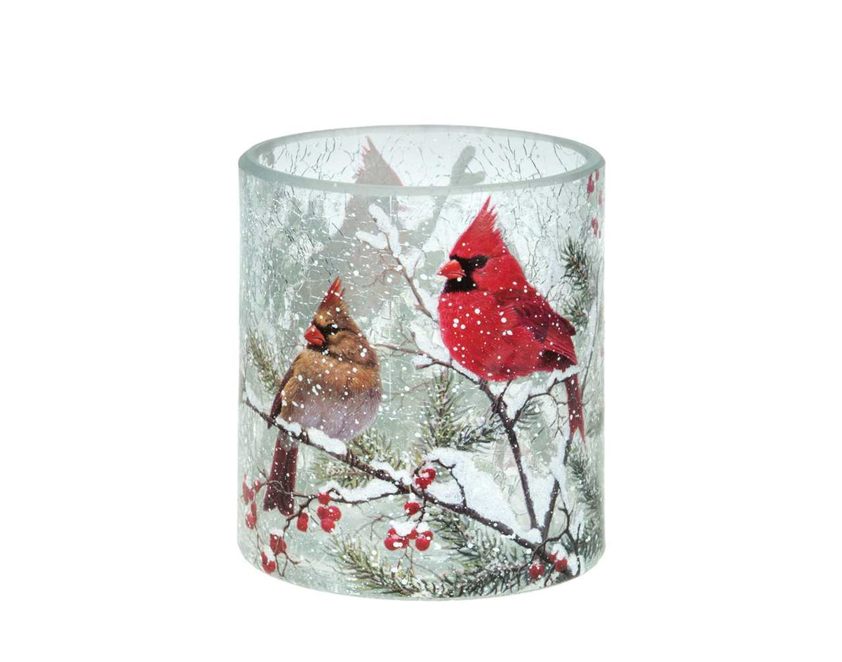 Christmas - Hurricane with Cardinals