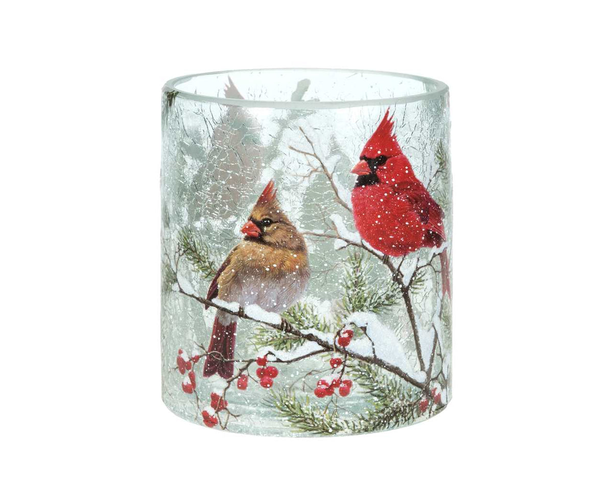 Christmas - Hurricane with Cardinals