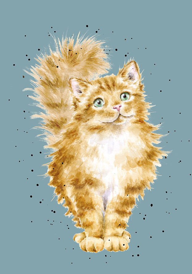 Wrendale Designs - Cat Notebook - Just Purr-fect