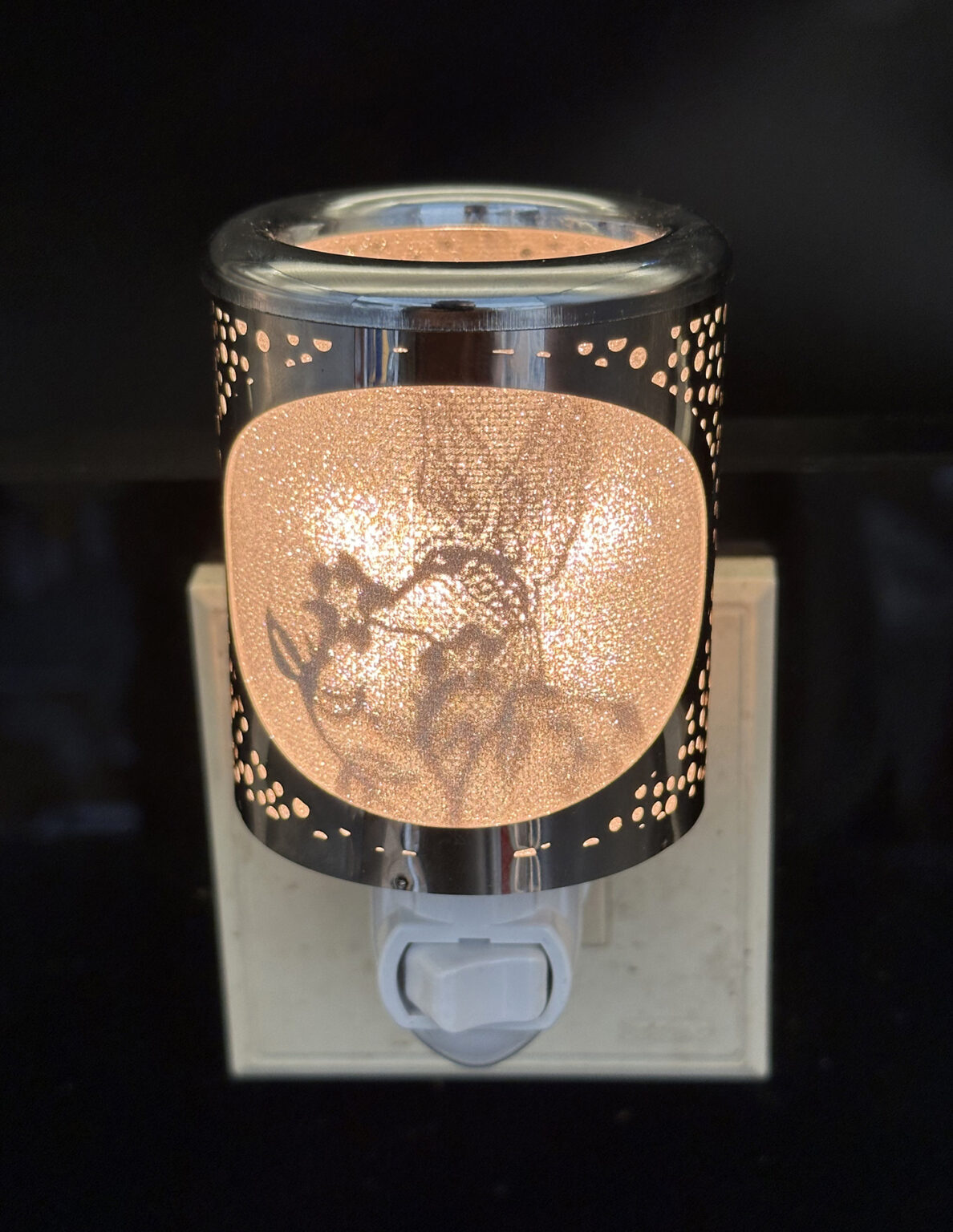 Night Light - Silver Shadow Hummingbird