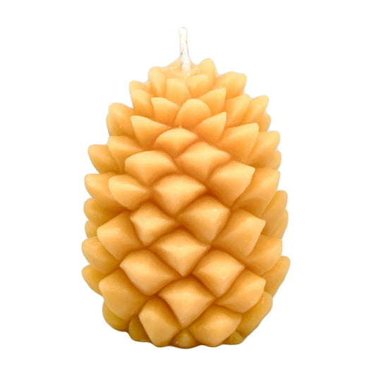 Honey Candles - Pure Beeswax - Pine Cone