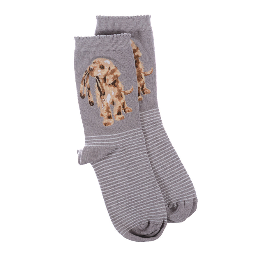 Wrendale Designs - Dog Socks - Hopeful