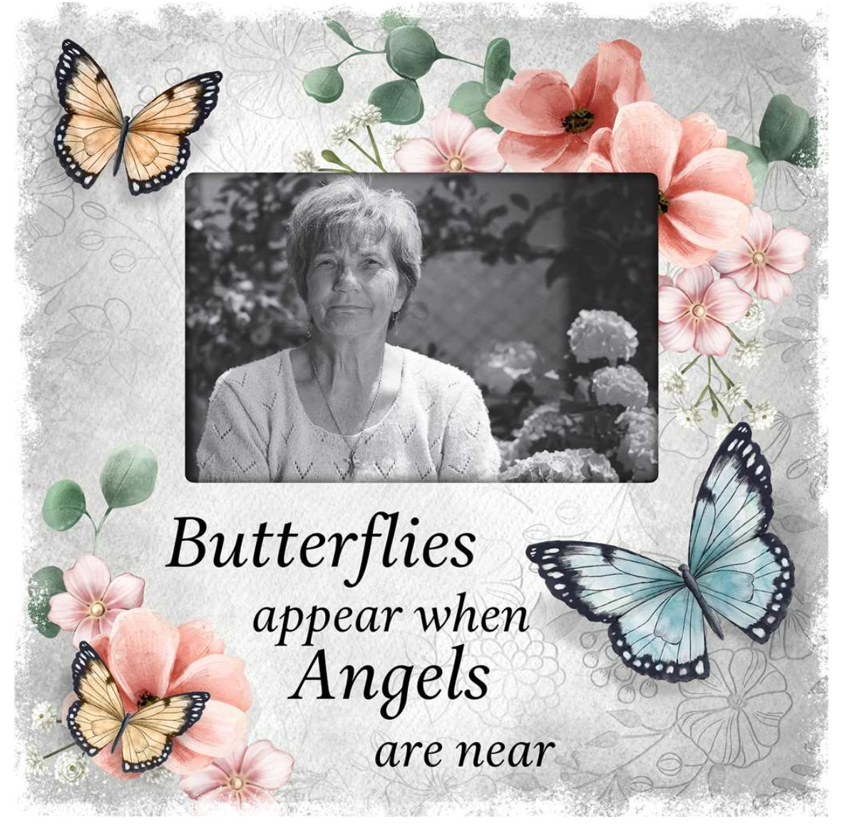 Frame - Butterflies Appear...