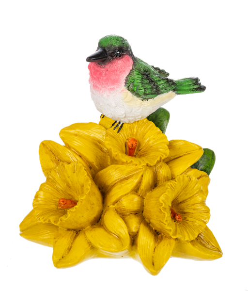 Garden - Flower of the Month - March