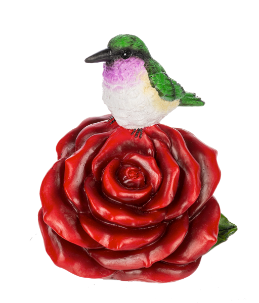 Garden - Flower of the Month - June