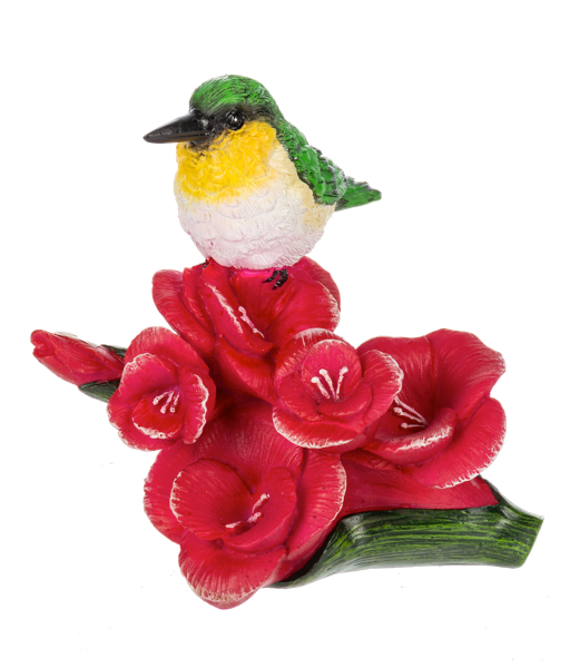 Garden - Flower of the Month - August