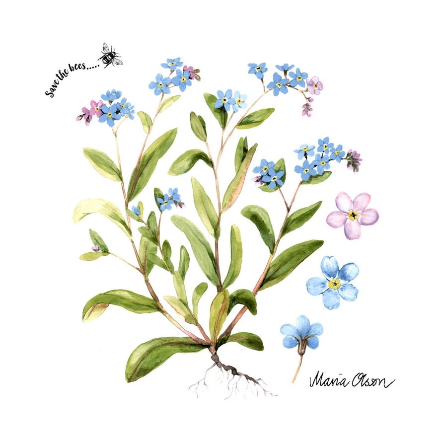 Napkins - Luncheon - Forget Me Not