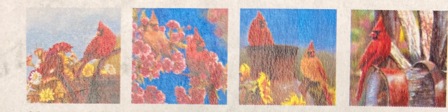 Coasters - Cardinals