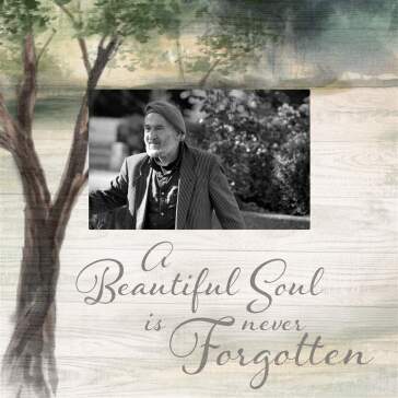 Frame - Beautiful Soul