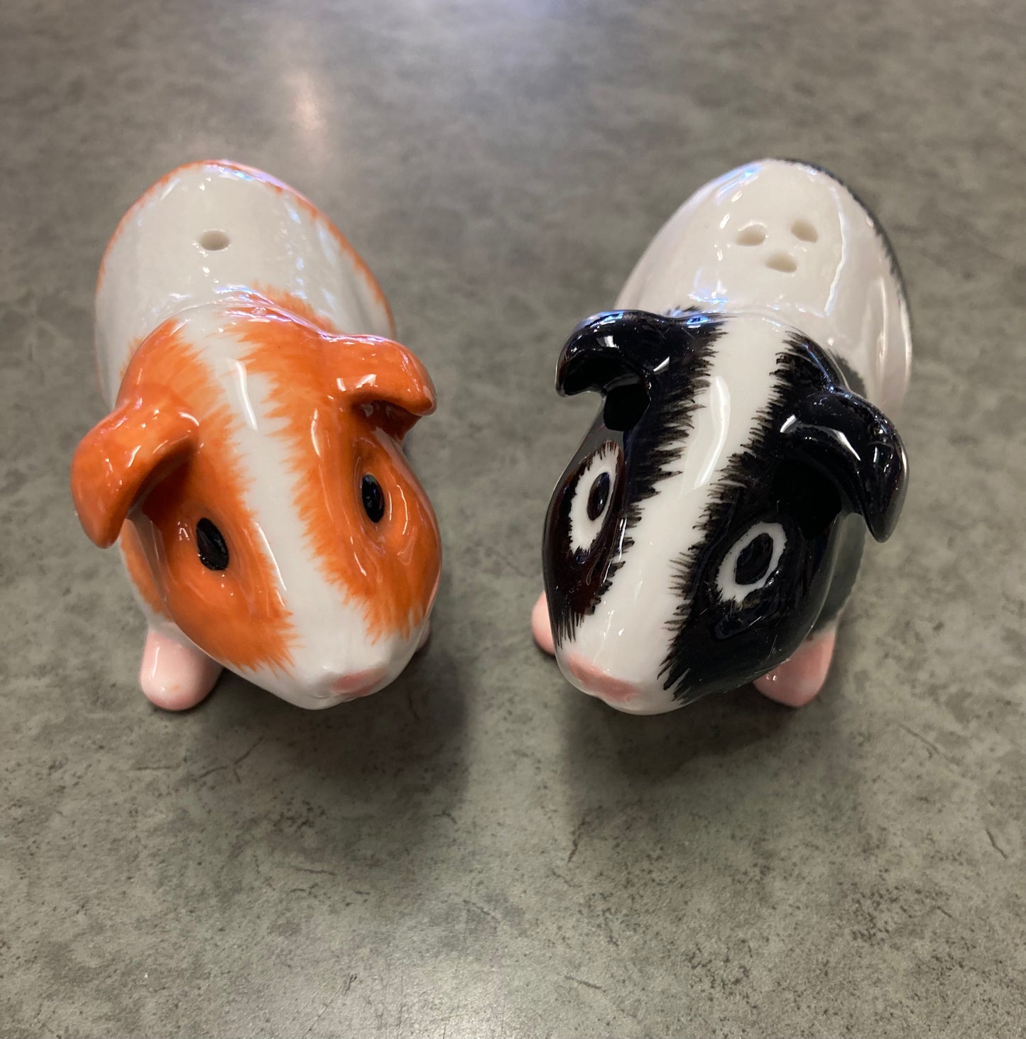 Salt & Pepper Shakers - Guinea Pig