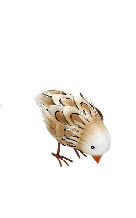 Garden - Metal Chicks - 2 Poses