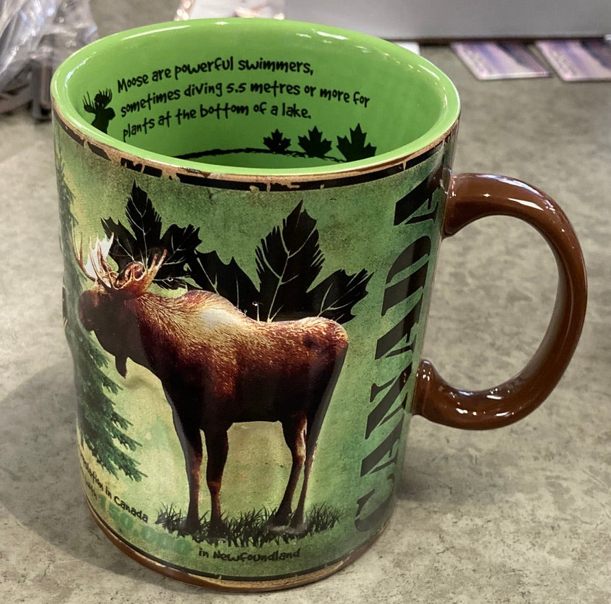 Mug - Moose Facts
