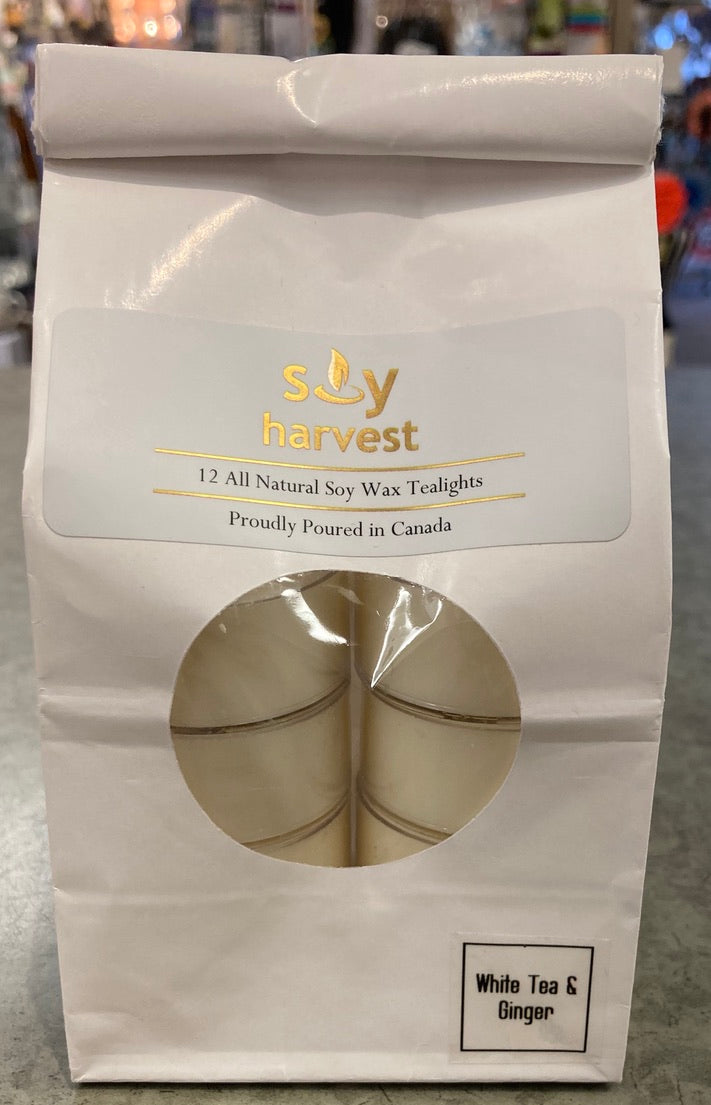 Soy Harvest Candles - Tea Light Candles - White Tea & Ginger
