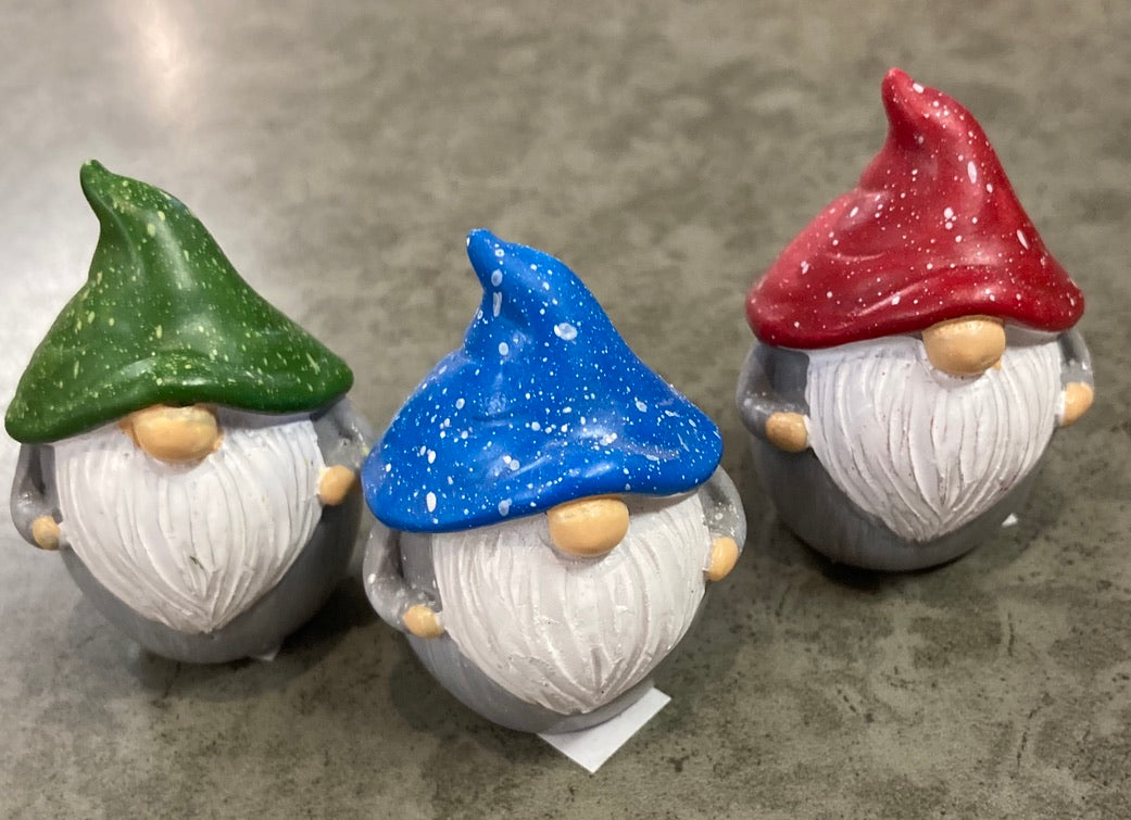 Garden - Tiny Gnome