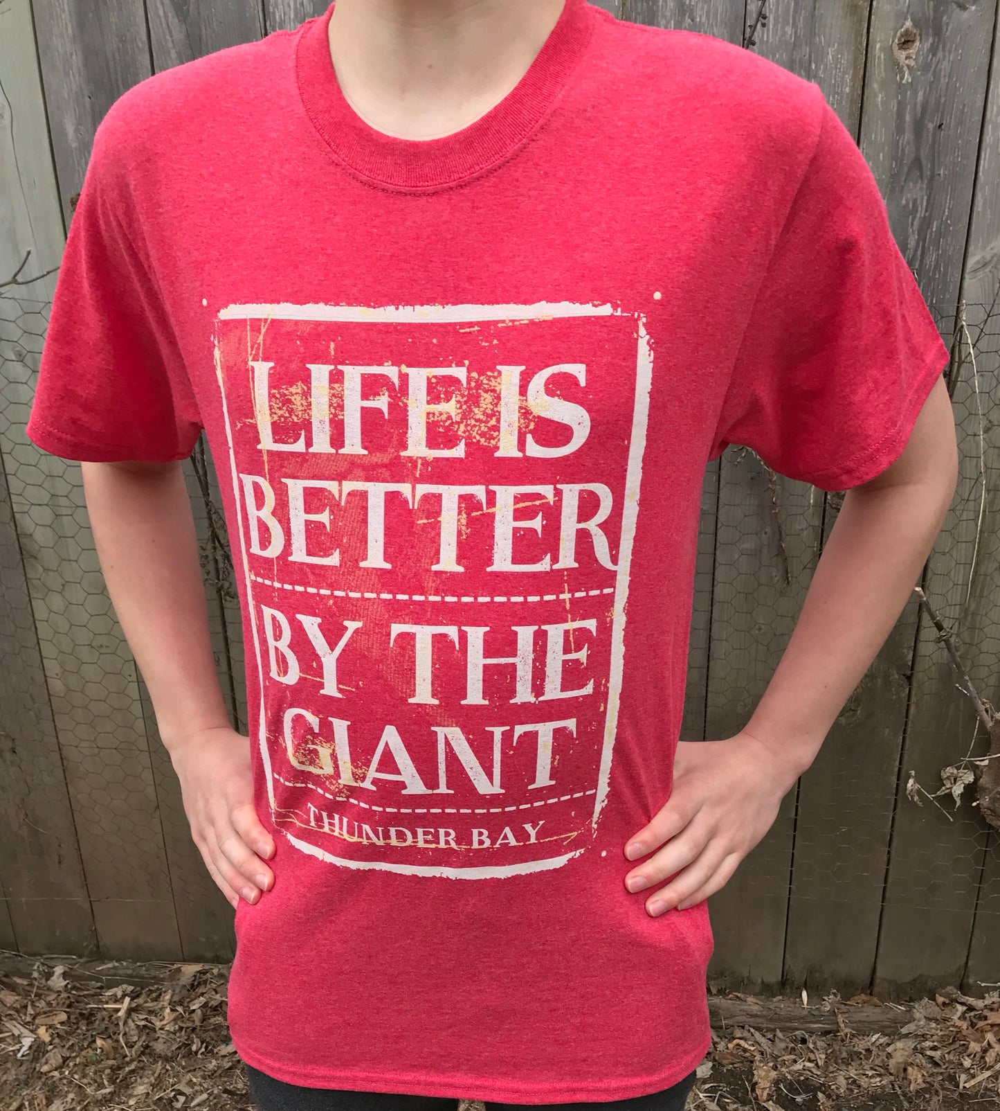 Thunder Bay T-shirt - souvenir clothing