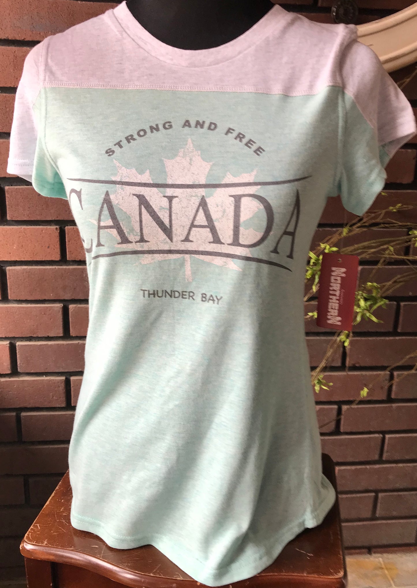 Thunder Bay T-shirt - souvenir clothing
