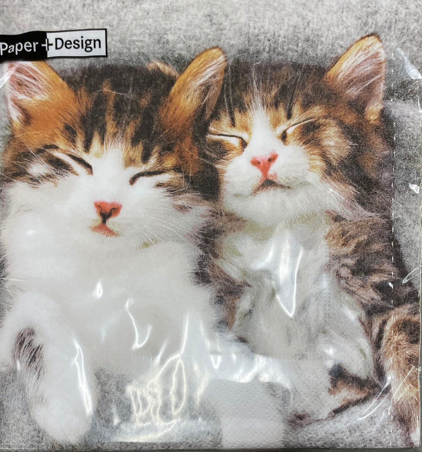 Napkins - Lunch - Sleepy Cats