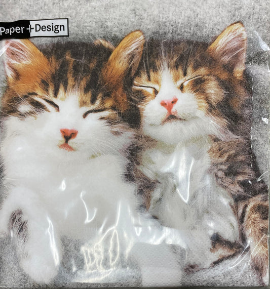 Napkins - Lunch - Sleepy Cats