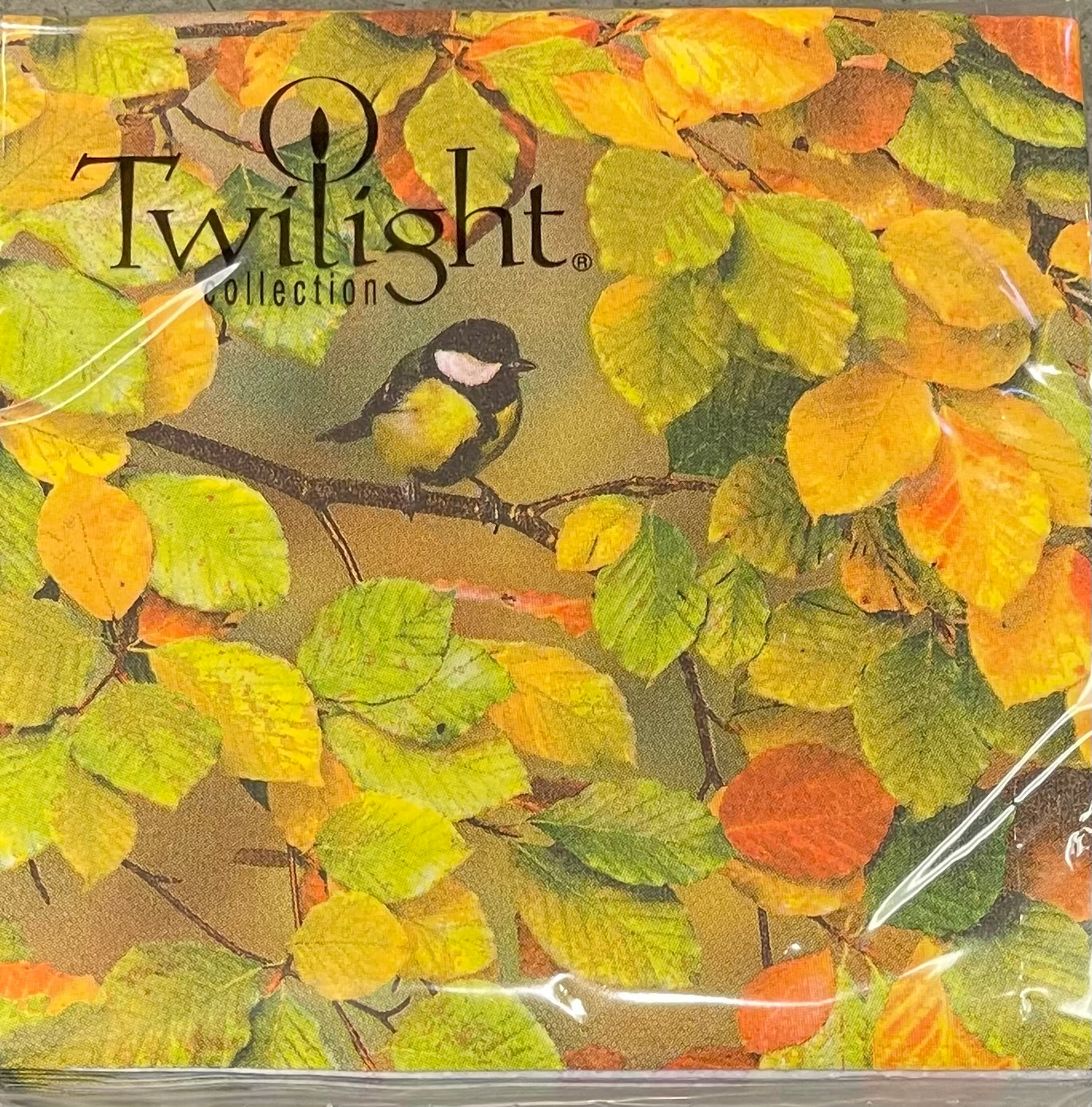 Napkins - Cocktail - Fall is Here
