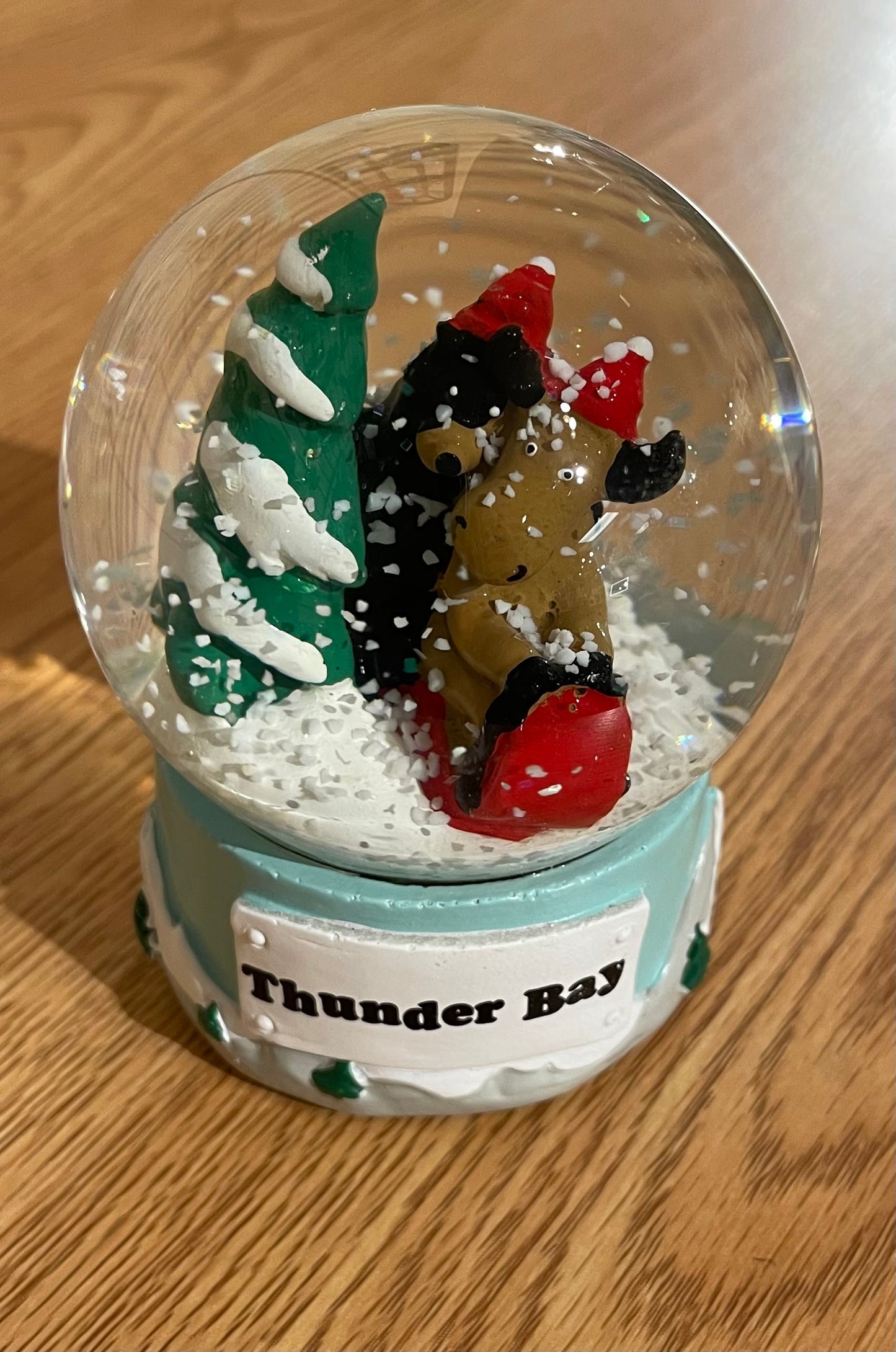 Souvenir - Snow Globe - Thunder Bay - Sledding Friends