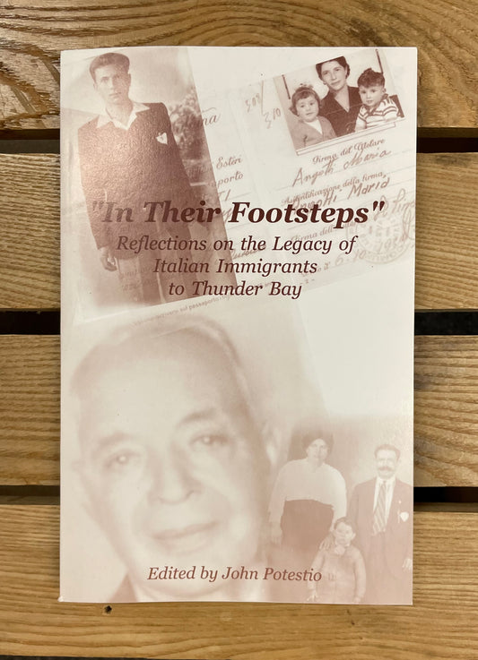 Book - In Their Footsteps