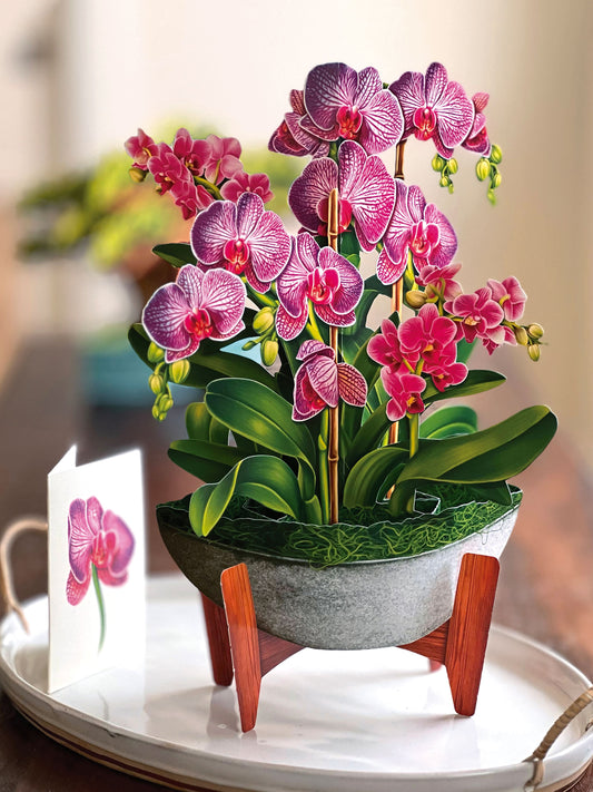 Pop-Up Flower Bouquet
