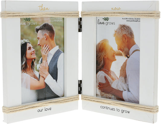 Frame - Hinged - Then & Now