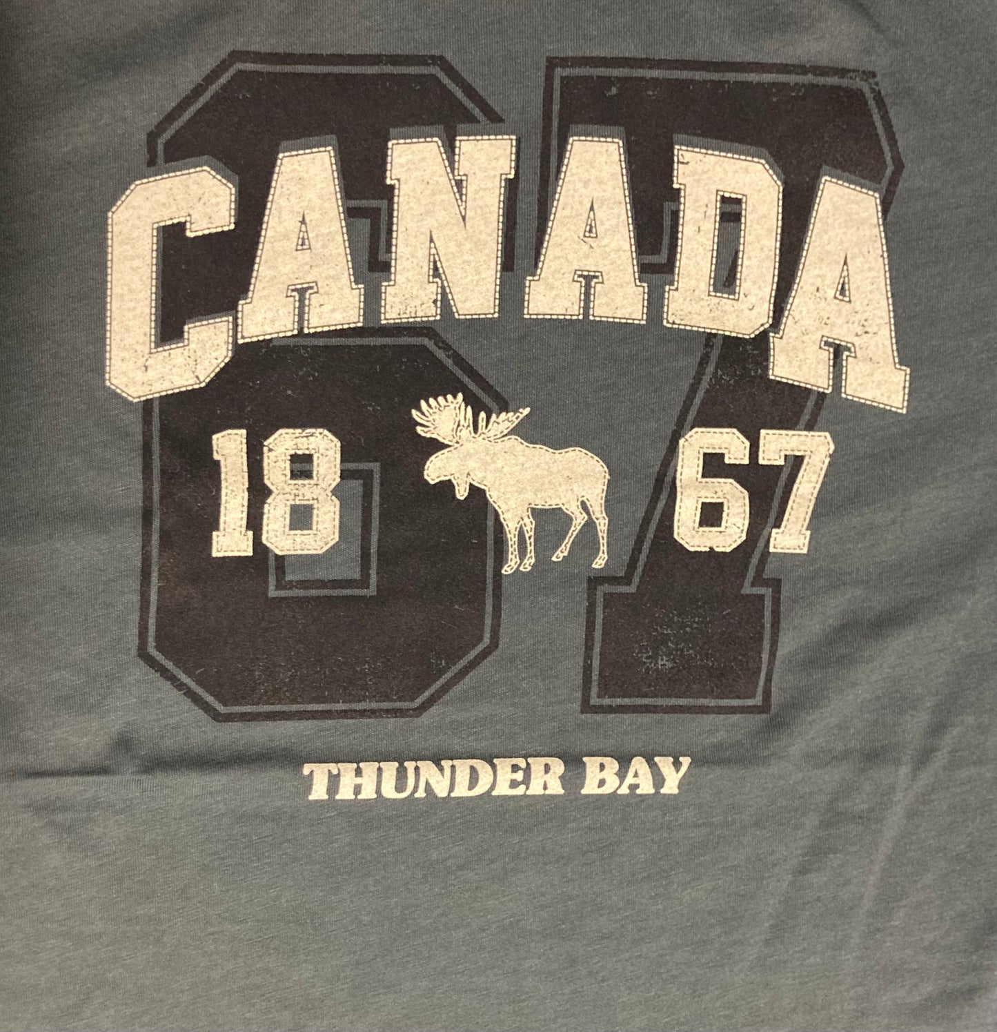 Souvenir Clothing - Men's Denim T-Shirt - Thunder Bay, Canada 1867