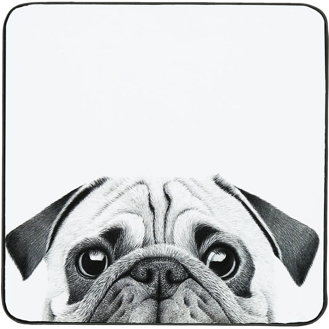 Coaster - Pug