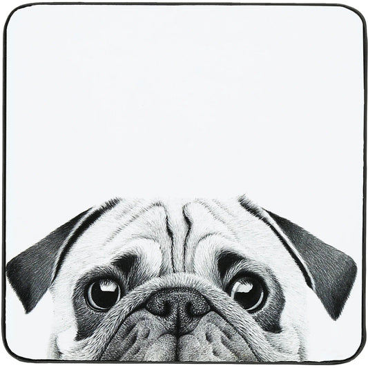 Coaster - Pug