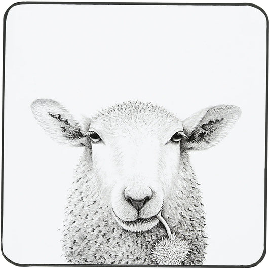 Coaster - Sheep
