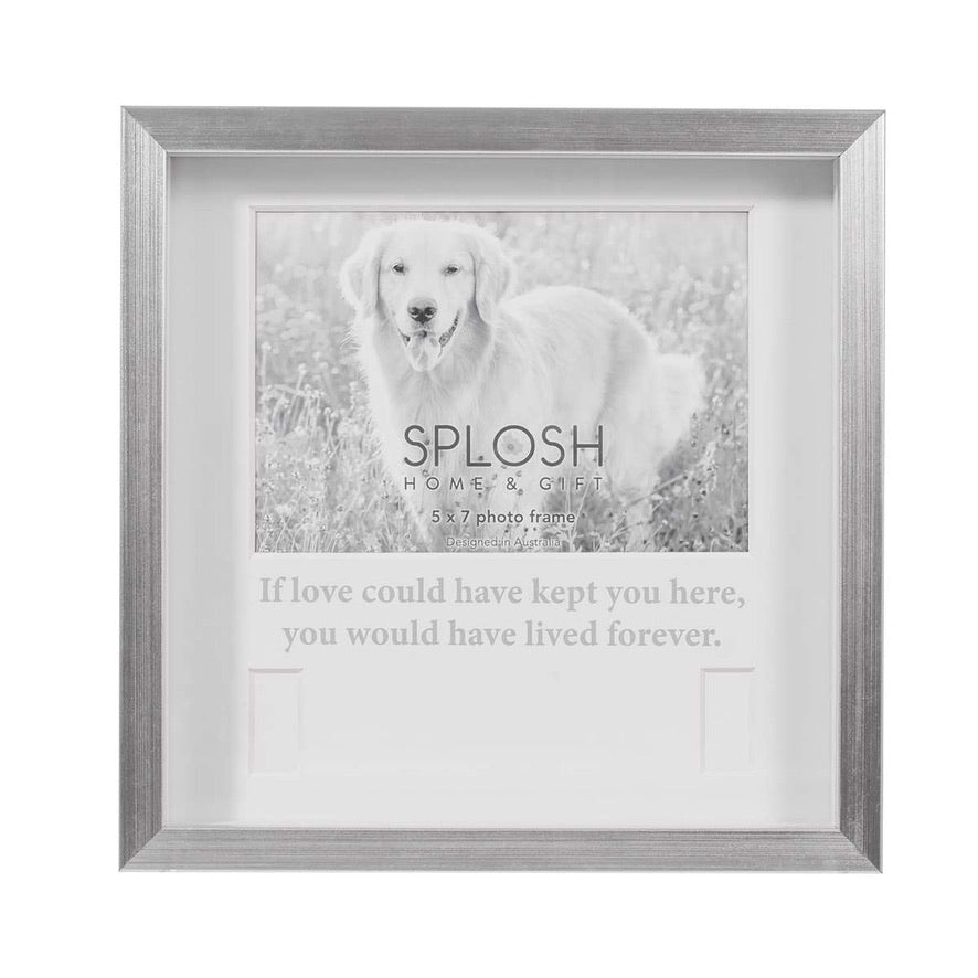 Frame - Pet & Collar - If Love Could Have Kept You Here...