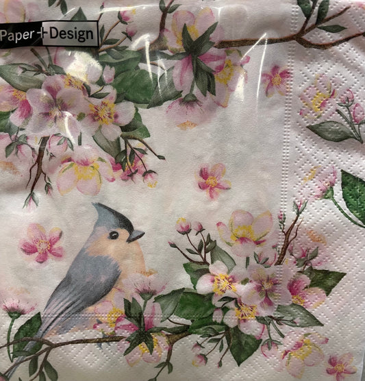Napkins - Lunch - Bird Lyrics