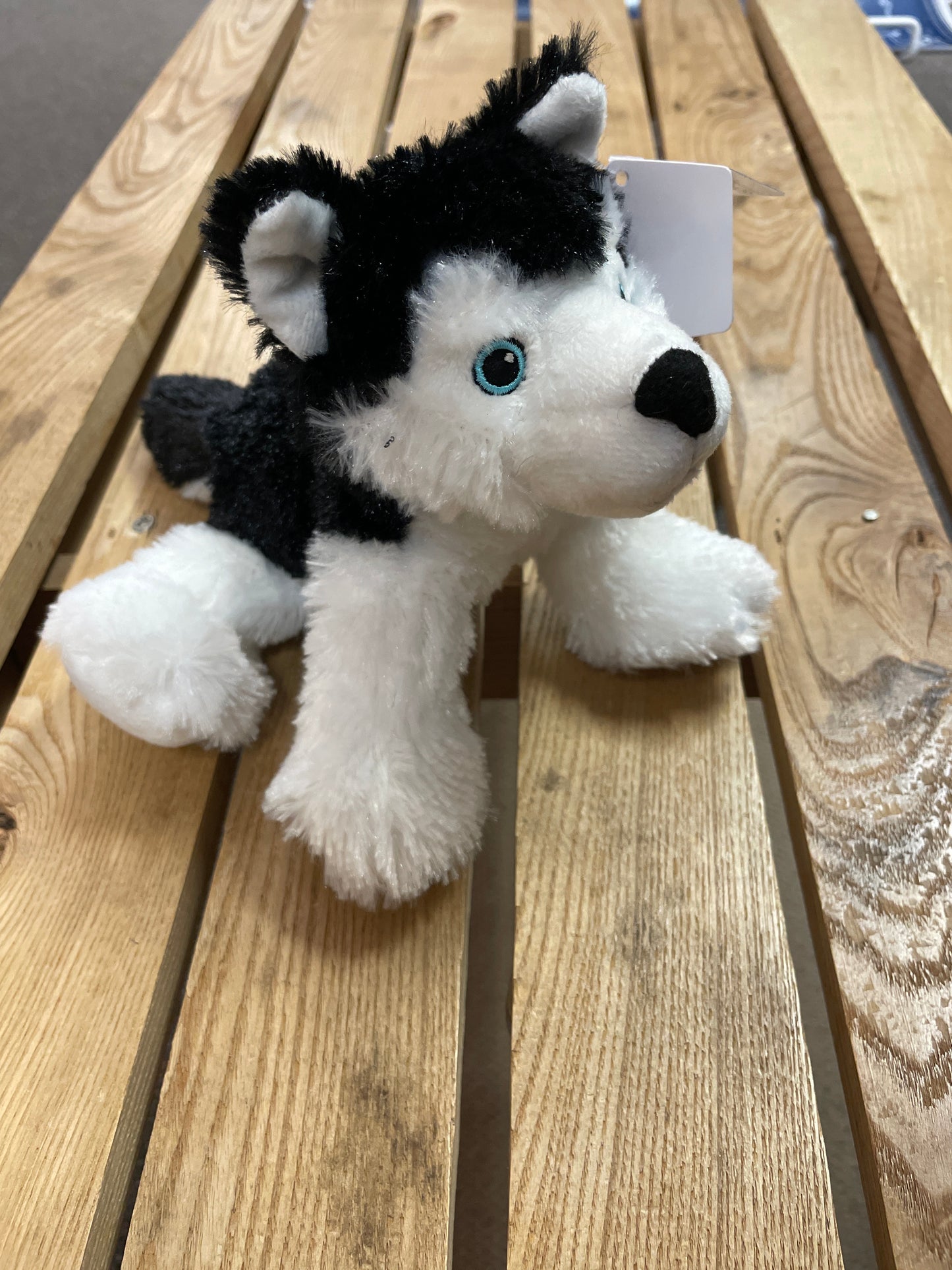 Souvenir Plush Animal Toy - Husky