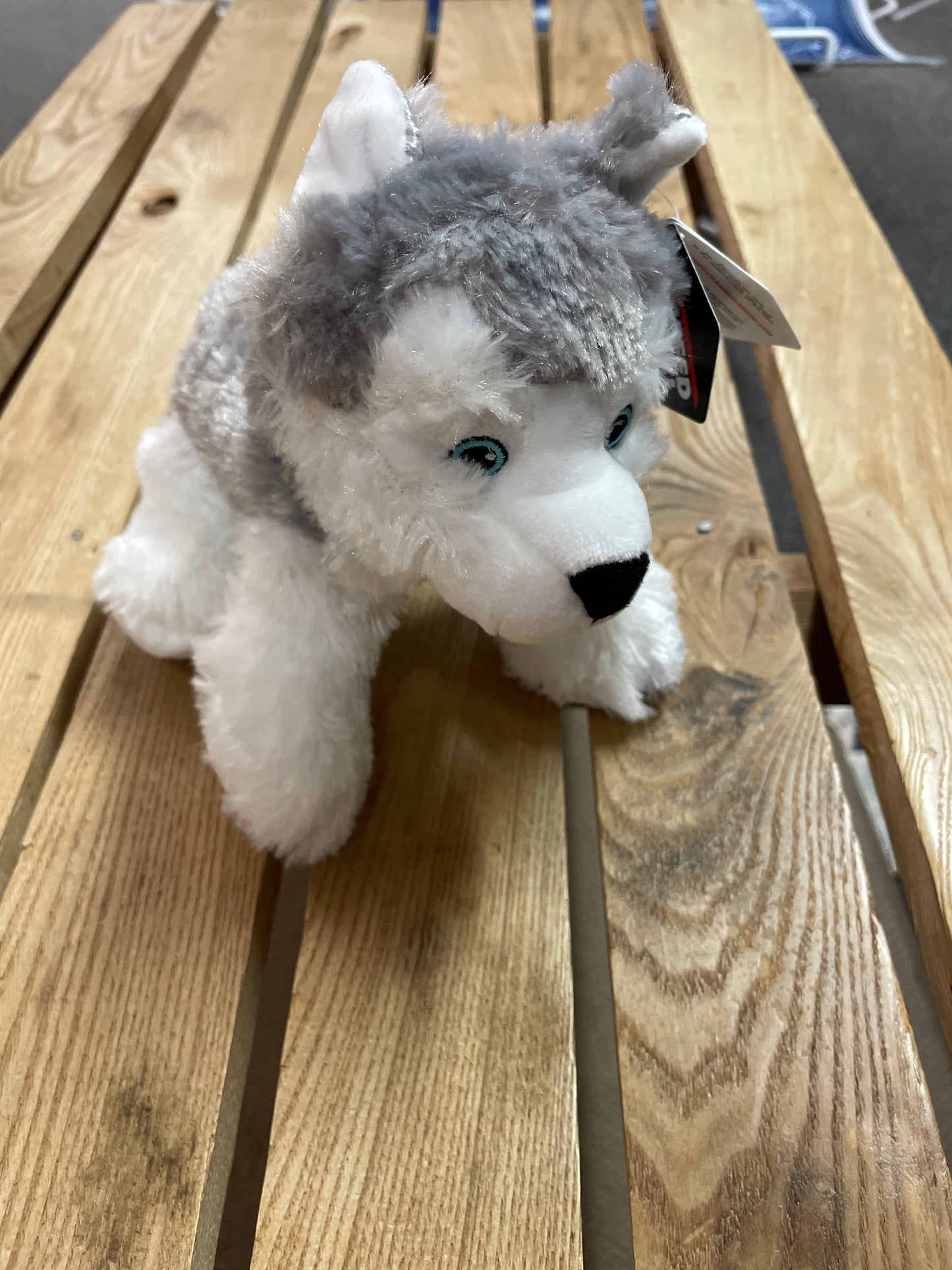 Souvenir Plush Animal Toy - Husky