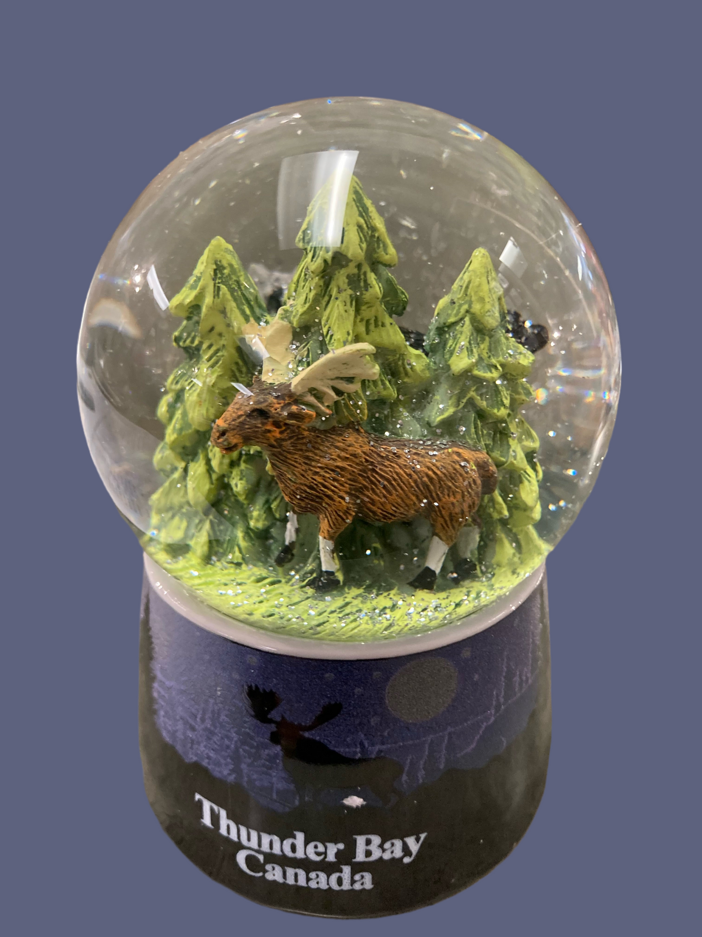 Souvenir - Snow Globe