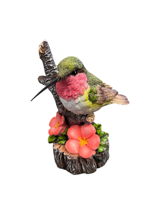 Garden - Hummingbird on Branch