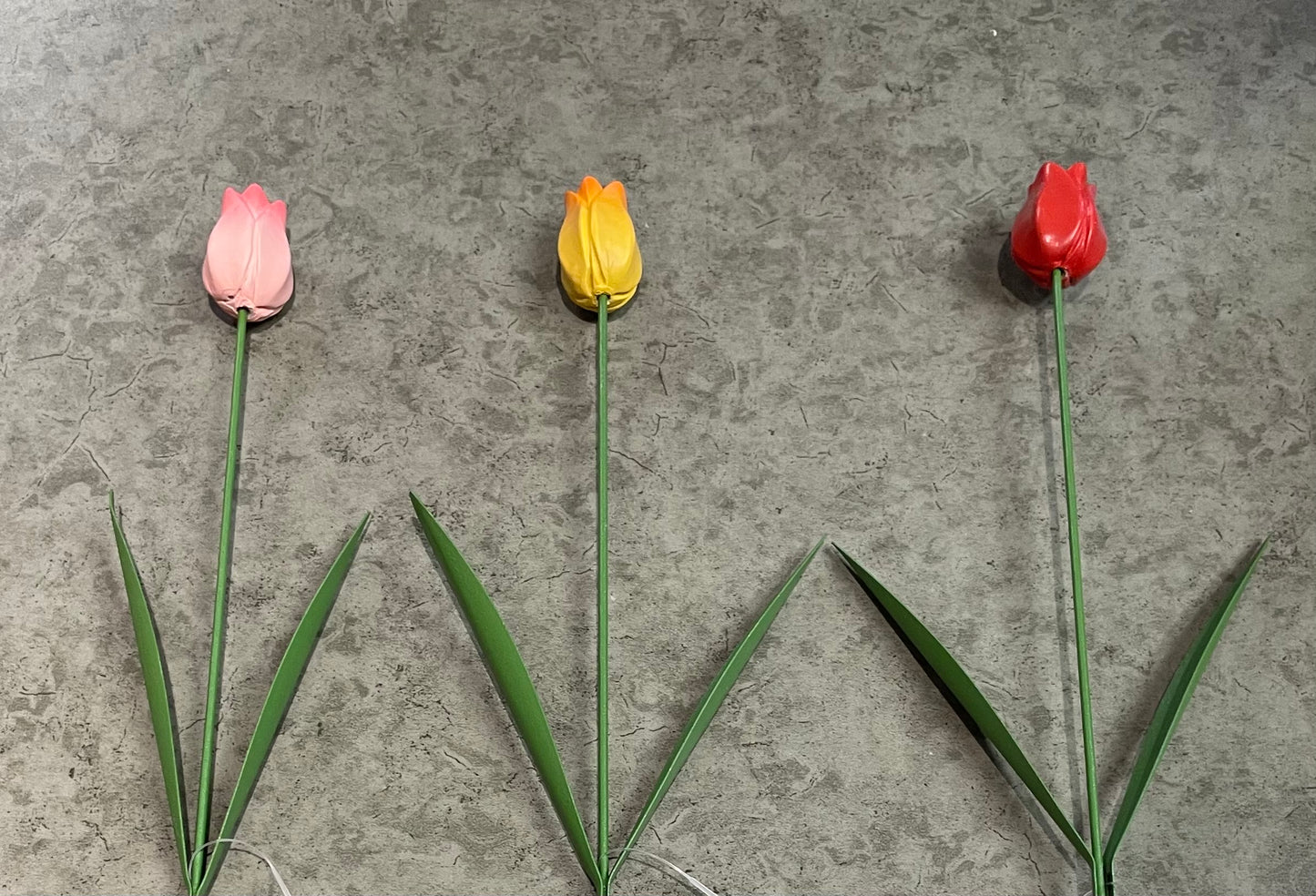 Garden - Tulip Stem Stake - Assorted Colours