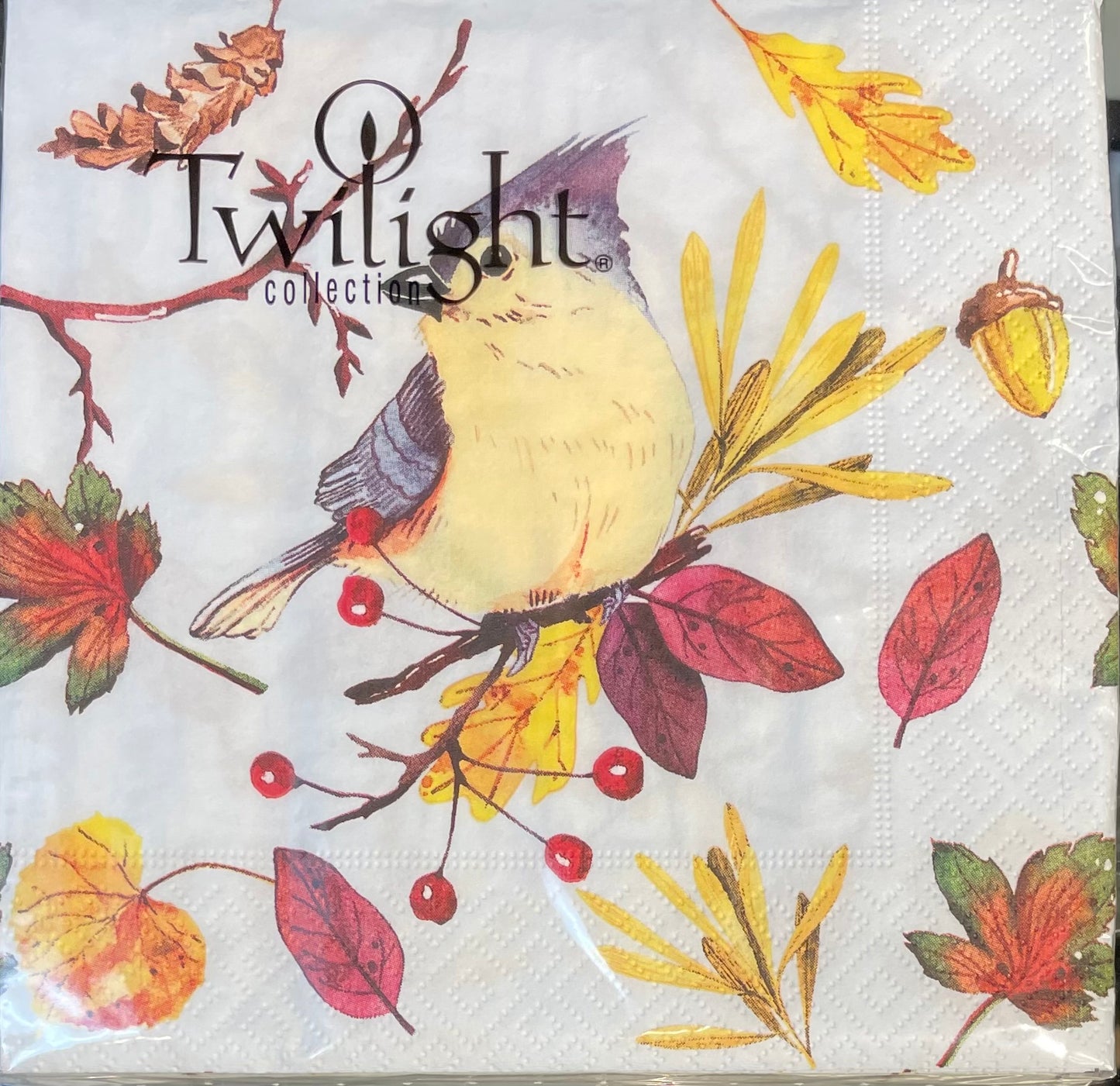 Napkins - Lunch - Funny Bird