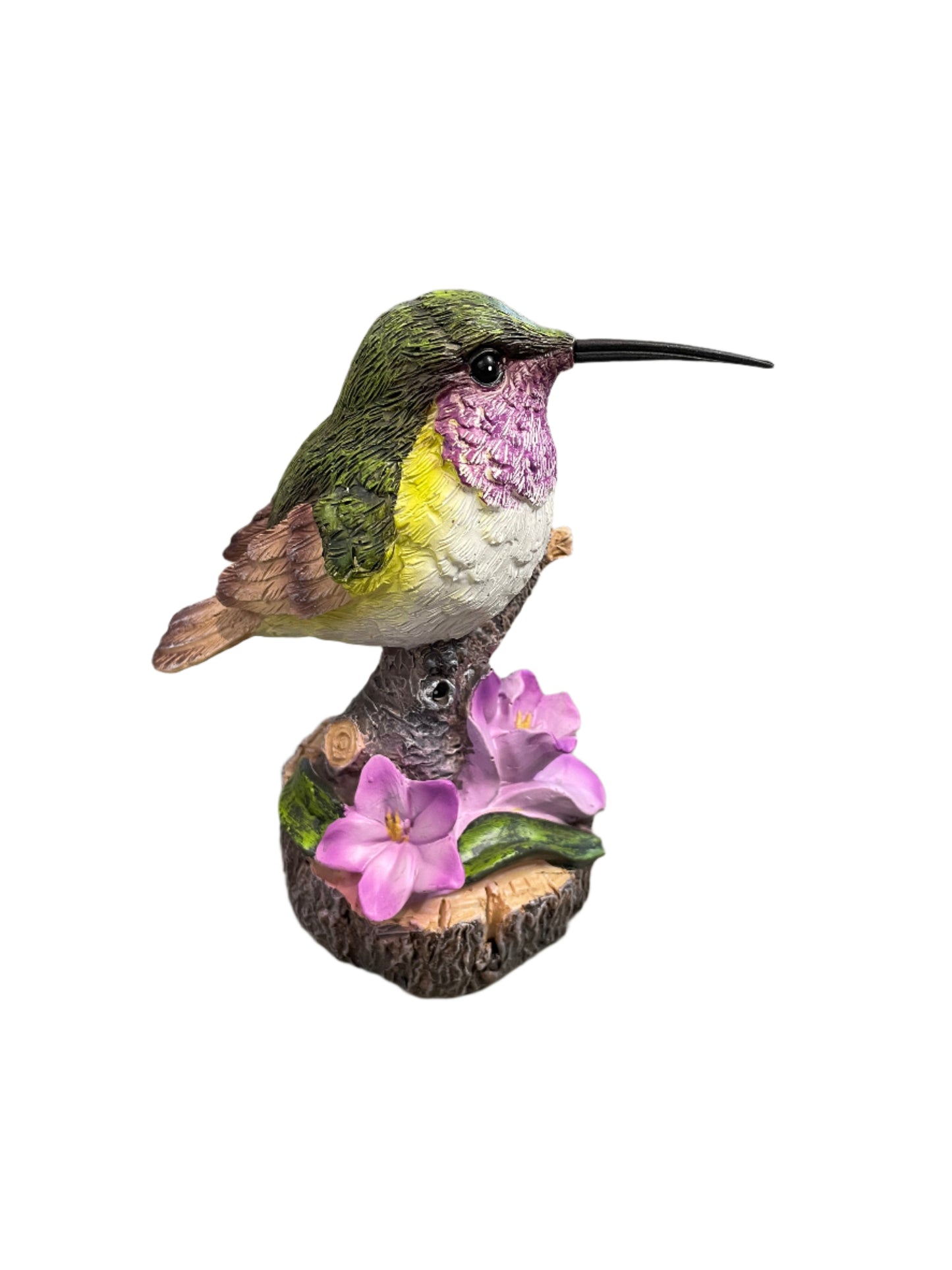 Garden - Hummingbird on Branch
