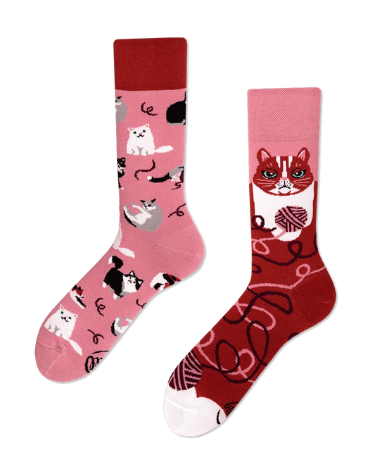 Many Mornings Socks - Playful Cat