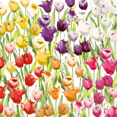 Napkins - Tulipfield - Lunch