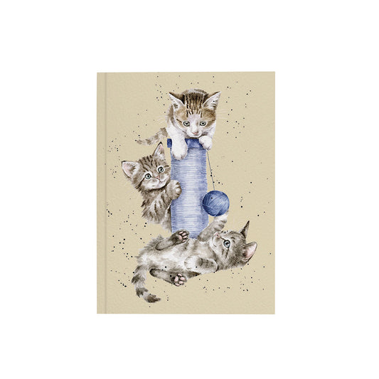 Wrendale Designs - Cat Notebook - Three's a Crowd
